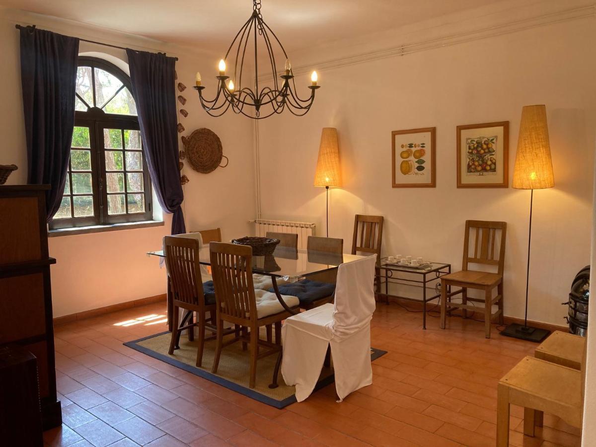Moradia no Pinhal com Piscina - Espaço e Privacidade para as suas Férias! Sintra Esterno foto