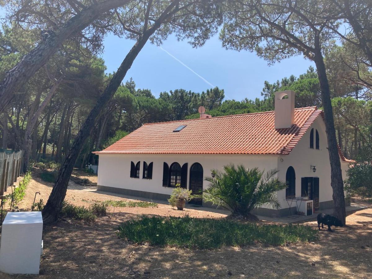 Moradia no Pinhal com Piscina - Espaço e Privacidade para as suas Férias! Sintra Esterno foto