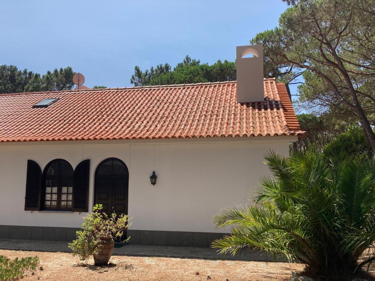 Moradia no Pinhal com Piscina - Espaço e Privacidade para as suas Férias! Sintra Esterno foto